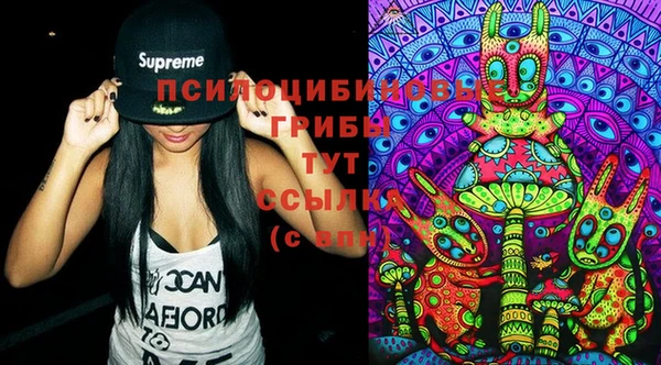 винт Армянск