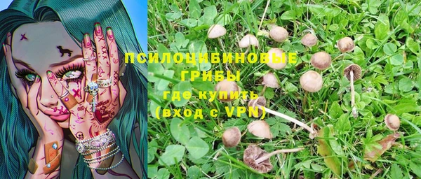 винт Армянск