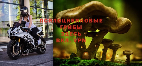 прущий лед Аркадак