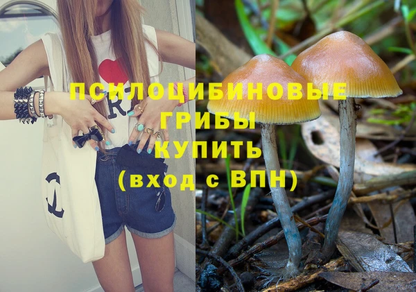 прущий лед Аркадак
