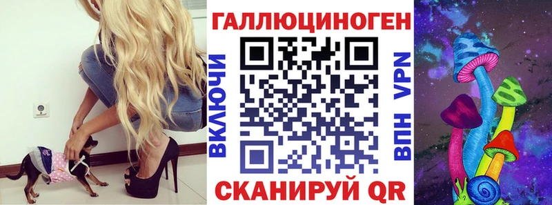 закладки  Вихоревка  Псилоцибиновые грибы мухоморы 
